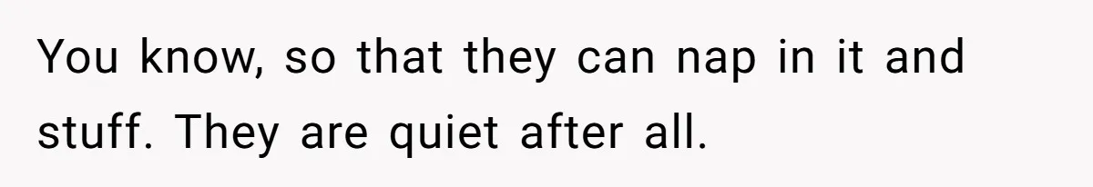 Sister’s Brilliant Revenge On Brother Who Tried To Control Her Gift Giving, You Won’t Believe The Toys She Chose You know, so that they can nap in it and stuff. They are quiet after all.