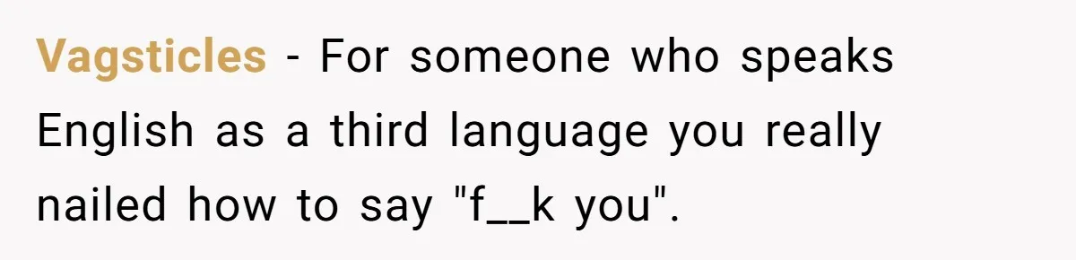Sister’s Brilliant Revenge On Brother Who Tried To Control Her Gift Giving, You Won’t Believe The Toys She Chose Vagsticles − For someone who speaks English as a third language you really nailed how to say "f__k you".
