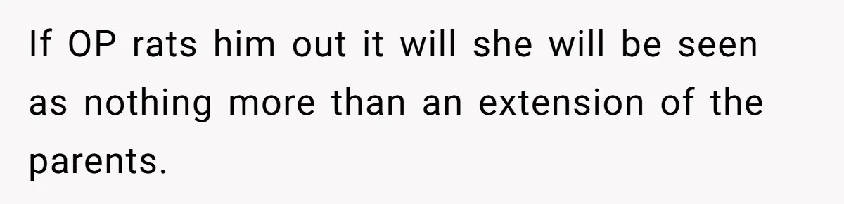 Would She Be Wrong for Exposing Her Brother’s Secret Paycheck Lies to Their Parents? If OP rats him out it will she will be seen as nothing more than an extension of the parents.