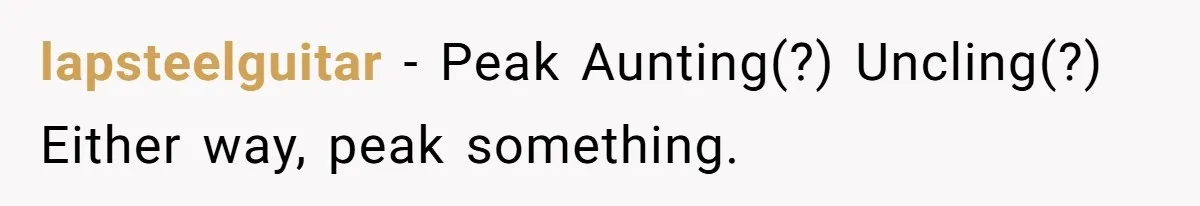 Sister’s Brilliant Revenge On Brother Who Tried To Control Her Gift Giving, You Won’t Believe The Toys She Chose lapsteelguitar − Peak Aunting(?) Uncling(?) Either way, peak something.