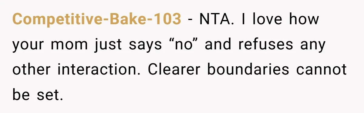Teen Shuts Down Dad’s Plea To Make Mom Parent His Affair Kids, Chaos Erupts At Christmas Competitive-Bake-103 − NTA. I love how your mom just says “no” and refuses any other interaction. Clearer boundaries cannot be set.