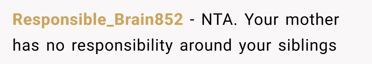Teen Shuts Down Dad’s Plea To Make Mom Parent His Affair Kids, Chaos Erupts At Christmas Responsible_Brain852 − NTA. Your mother has no responsibility around your siblings