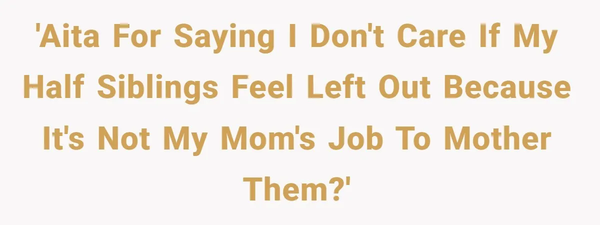 Teen Shuts Down Dad’s Plea To Make Mom Parent His Affair Kids, Chaos Erupts At Christmas 'AITA for saying I don't care if my half siblings feel left out because it's not my mom's job to mother them?'