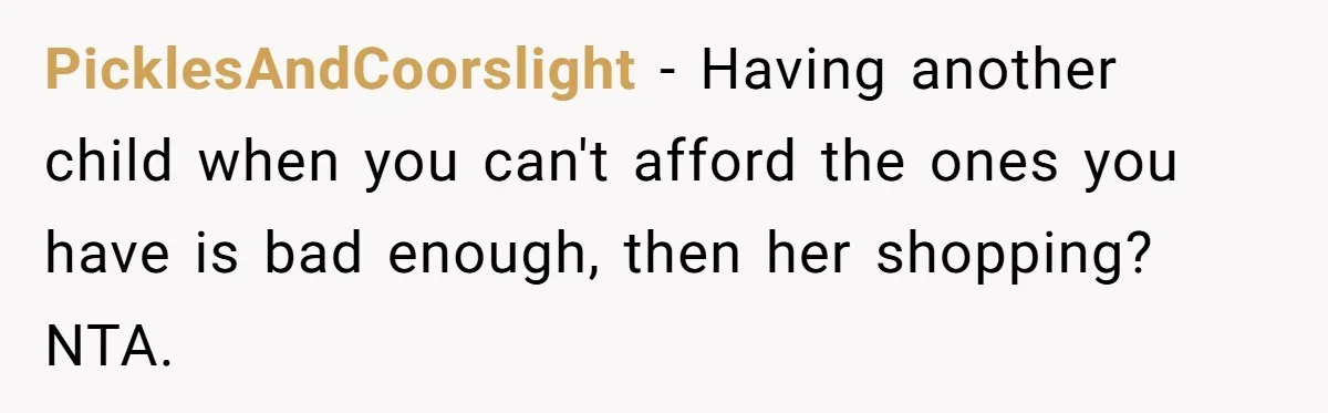 She Helped a ‘Mom in Need’ Twice - Then Found Out the Mom Was Funding a Shopping-Haul Lifestyle PicklesAndCoorslight − Having another child when you can't afford the ones you have is bad enough, then her shopping? NTA.