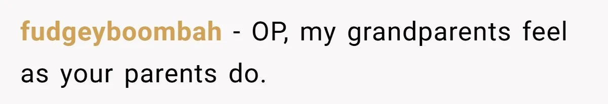 Father Forbids Daughter From Introducing Black Boyfriend To Grandparents During Family Visit fudgeyboombah − OP, my grandparents feel as your parents do.
