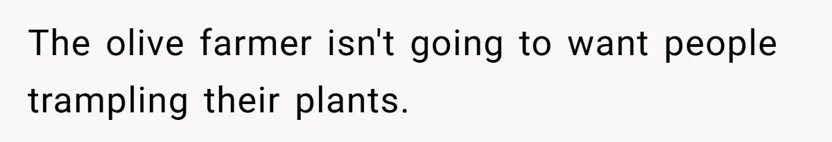 Uncle Refuses To Vacate Family Castle And Master Bedroom For Niece's Dream Destination Wedding The olive farmer isn't going to want people trampling their plants.
