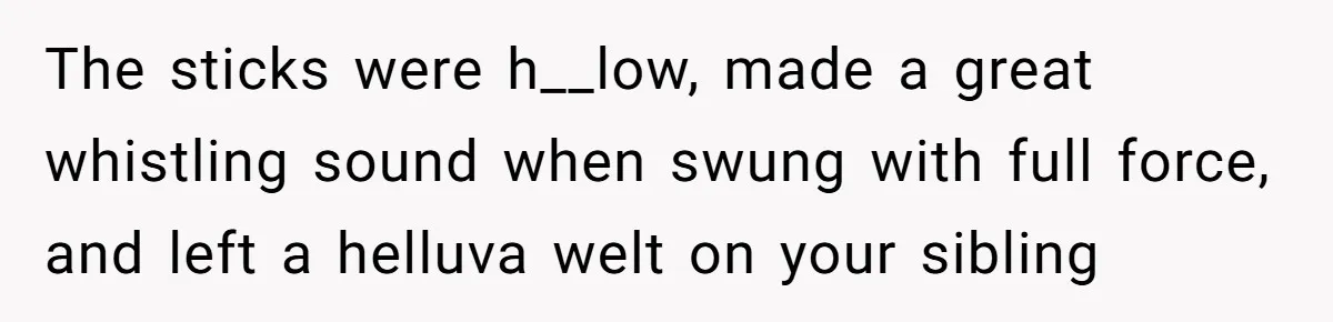 Sister Sends 1,000 Unremovable Stickers As A ‘Christmas Gift’ To Brother-In-Law, He’ll Never Forget It The sticks were h__low, made a great whistling sound when swung with full force, and left a helluva welt on your sibling