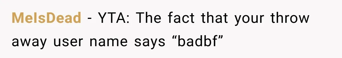 MeIsDead − YTA: The fact that your throw away user name says “badbf”