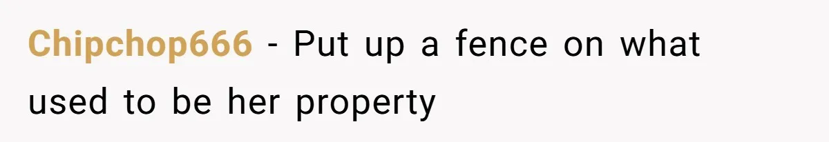 "Stay Away From My Fence!": Neighbor Dispute Escalates Over a Leaf Blower Chipchop666 − Put up a fence on what used to be her property