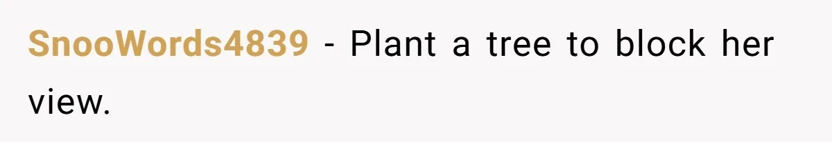 "Stay Away From My Fence!": Neighbor Dispute Escalates Over a Leaf Blower SnooWords4839 − Plant a tree to block her view.