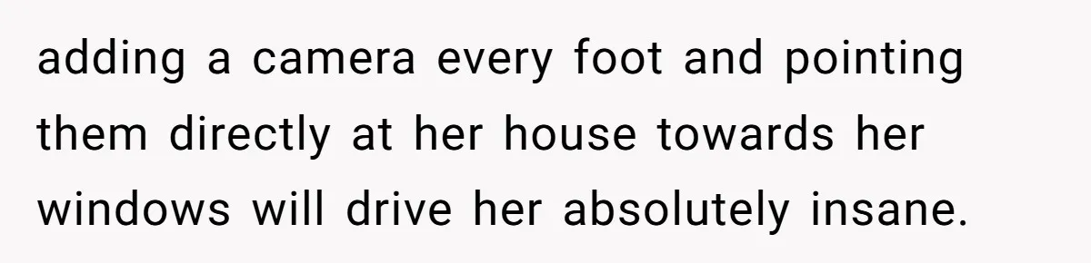 "Stay Away From My Fence!": Neighbor Dispute Escalates Over a Leaf Blower adding a camera every foot and pointing them directly at her house towards her windows will drive her absolutely insane.