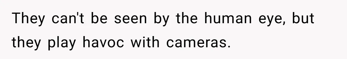 "Stay Away From My Fence!": Neighbor Dispute Escalates Over a Leaf Blower They can't be seen by the human eye, but they play havoc with cameras.