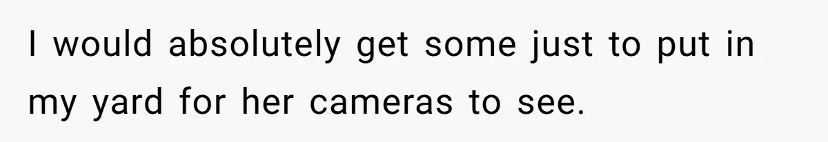 "Stay Away From My Fence!": Neighbor Dispute Escalates Over a Leaf Blower I would absolutely get some just to put in my yard for her cameras to see.