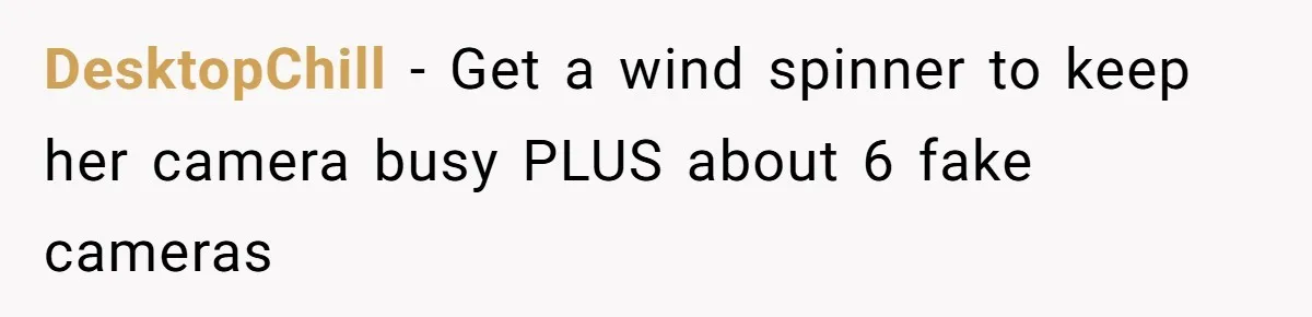 "Stay Away From My Fence!": Neighbor Dispute Escalates Over a Leaf Blower DesktopChill − Get a wind spinner to keep her camera busy PLUS about 6 fake cameras
