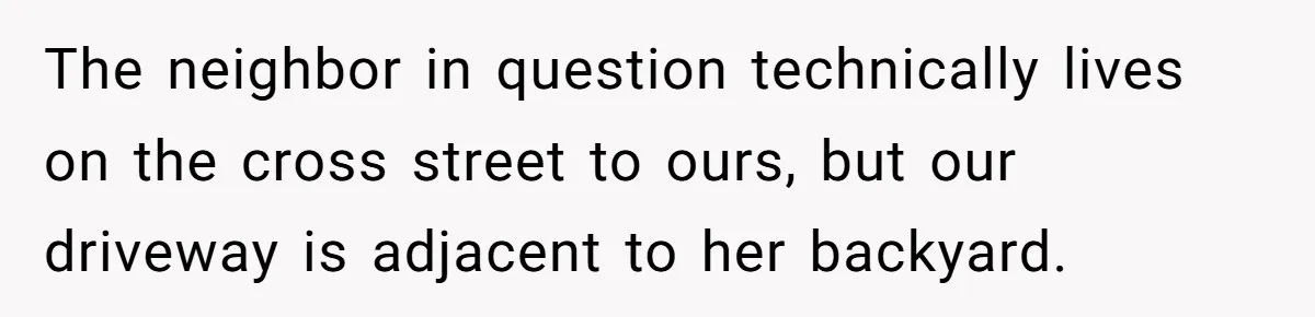 "Stay Away From My Fence!": Neighbor Dispute Escalates Over a Leaf Blower The neighbor in question technically lives on the cross street to ours, but our driveway is adjacent to her backyard.