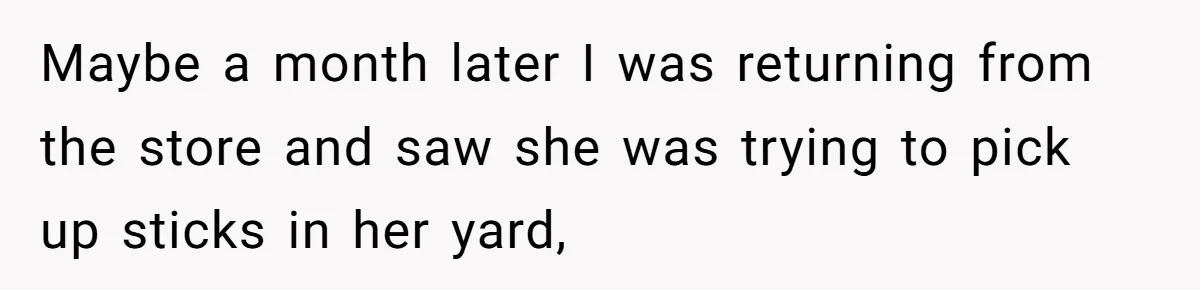 "Stay Away From My Fence!": Neighbor Dispute Escalates Over a Leaf Blower Maybe a month later I was returning from the store and saw she was trying to pick up sticks in her yard,