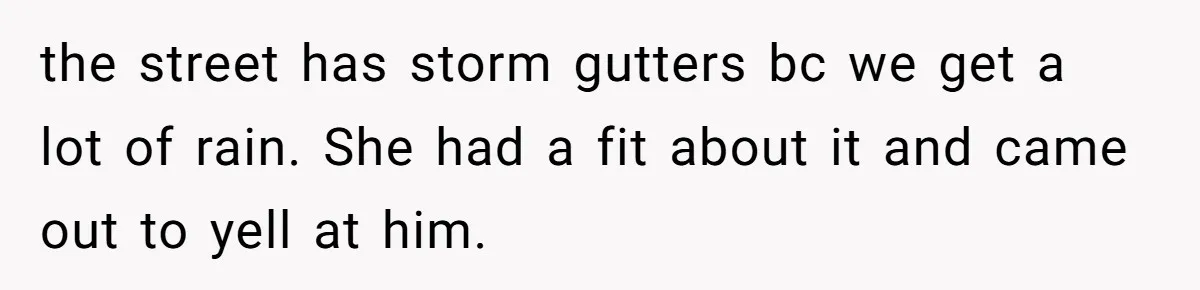 "Stay Away From My Fence!": Neighbor Dispute Escalates Over a Leaf Blower the street has storm gutters bc we get a lot of rain. She had a fit about it and came out to yell at him.