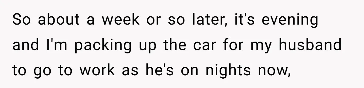 "Stay Away From My Fence!": Neighbor Dispute Escalates Over a Leaf Blower So about a week or so later, it's evening and I'm packing up the car for my husband to go to work as he's on nights now,