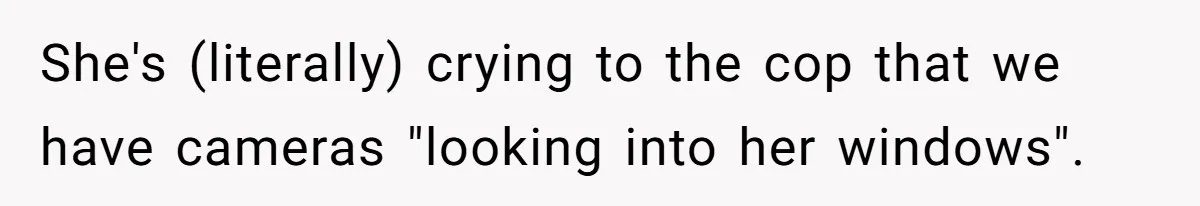 "Stay Away From My Fence!": Neighbor Dispute Escalates Over a Leaf Blower She's (literally) crying to the cop that we have cameras "looking into her windows".