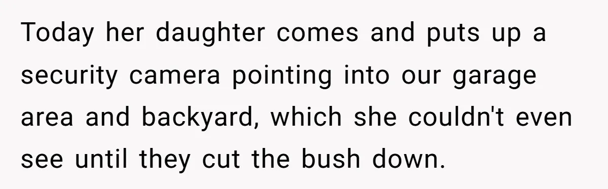 "Stay Away From My Fence!": Neighbor Dispute Escalates Over a Leaf Blower Today her daughter comes and puts up a security camera pointing into our garage area and backyard, which she couldn't even see until they cut the bush down.