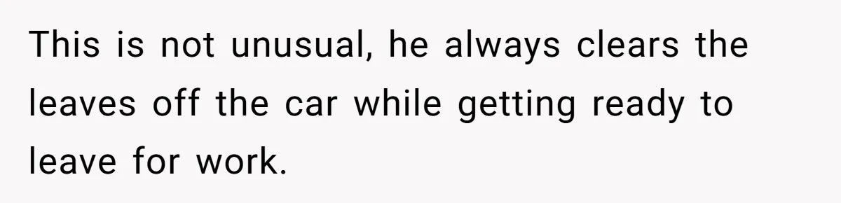 "Stay Away From My Fence!": Neighbor Dispute Escalates Over a Leaf Blower This is not unusual, he always clears the leaves off the car while getting ready to leave for work.