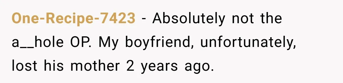 Woman Defends Her Husband After Sister Treats His Tragedy Like A Piggy Bank One-Recipe-7423 − Absolutely not the a__hole OP. My boyfriend, unfortunately, lost his mother 2 years ago.