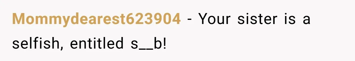 Woman Defends Her Husband After Sister Treats His Tragedy Like A Piggy Bank Mommydearest623904 − Your sister is a selfish, entitled s__b!