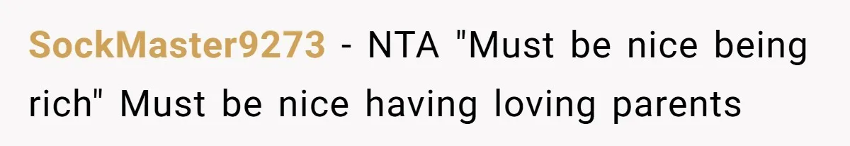 Woman Defends Her Husband After Sister Treats His Tragedy Like A Piggy Bank SockMaster9273 − NTA "Must be nice being rich" Must be nice having loving parents