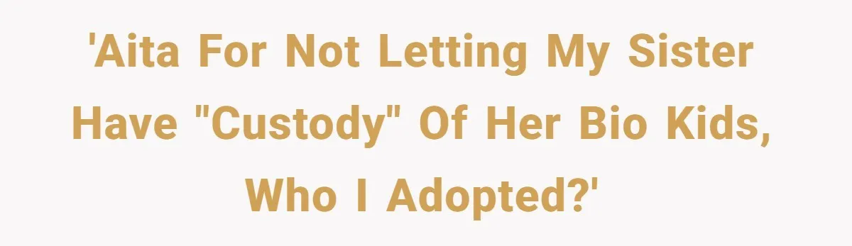 Woman Refuses Sister’s “Custody” Demand After Adopting The Kids She Abandoned Years Ago 'AITA for not letting my sister have "custody" of her bio kids, who I adopted?'