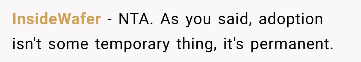 Woman Refuses Sister’s “Custody” Demand After Adopting The Kids She Abandoned Years Ago InsideWafer − NTA. As you said, adoption isn't some temporary thing, it's permanent.