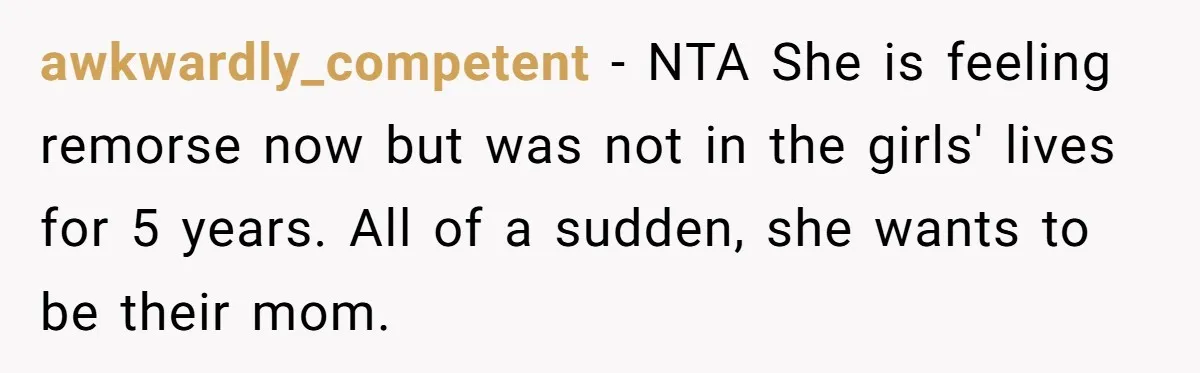 Woman Refuses Sister’s “Custody” Demand After Adopting The Kids She Abandoned Years Ago awkwardly_competent − NTA She is feeling remorse now but was not in the girls' lives for 5 years. All of a sudden, she wants to be their mom.