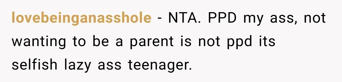 Woman Refuses Sister’s “Custody” Demand After Adopting The Kids She Abandoned Years Ago lovebeinganasshole − NTA. PPD my ass, not wanting to be a parent is not ppd its selfish lazy ass teenager.
