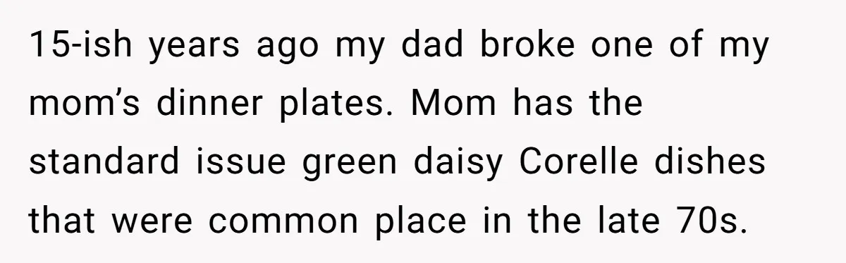 She Secretly Replaced Her Mom’s Plates for 15 Years, and the Final Reveal Is Petty Perfection 15-ish years ago my dad broke one of my mom’s dinner plates. Mom has the standard issue green daisy Corelle dishes that were common place in the late 70s.