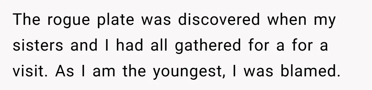 She Secretly Replaced Her Mom’s Plates for 15 Years, and the Final Reveal Is Petty Perfection The rogue plate was discovered when my sisters and I had all gathered for a for a visit. As I am the youngest, I was blamed.