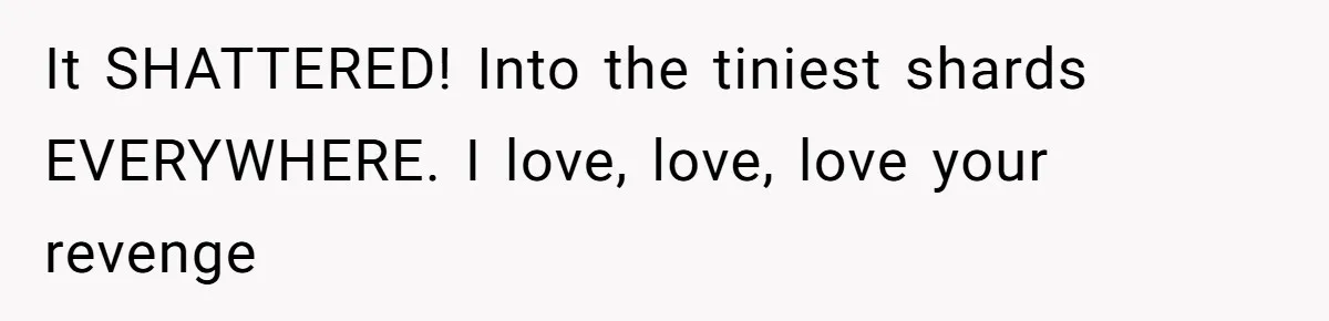 She Secretly Replaced Her Mom’s Plates for 15 Years, and the Final Reveal Is Petty Perfection It SHATTERED! Into the tiniest shards EVERYWHERE. I love, love, love your revenge