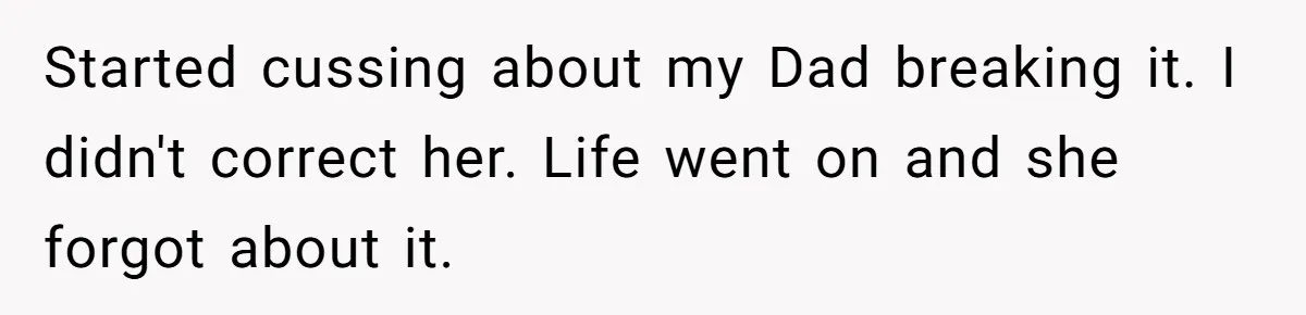 She Secretly Replaced Her Mom’s Plates for 15 Years, and the Final Reveal Is Petty Perfection Started cussing about my Dad breaking it. I didn't correct her. Life went on and she forgot about it.