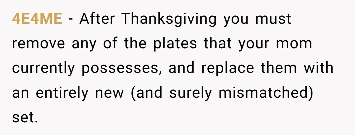 She Secretly Replaced Her Mom’s Plates for 15 Years, and the Final Reveal Is Petty Perfection 4E4ME − After Thanksgiving you must remove any of the plates that your mom currently possesses, and replace them with an entirely new (and surely mismatched) set.