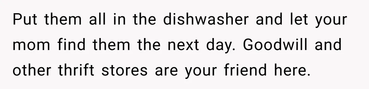 She Secretly Replaced Her Mom’s Plates for 15 Years, and the Final Reveal Is Petty Perfection Put them all in the dishwasher and let your mom find them the next day. Goodwill and other thrift stores are your friend here.