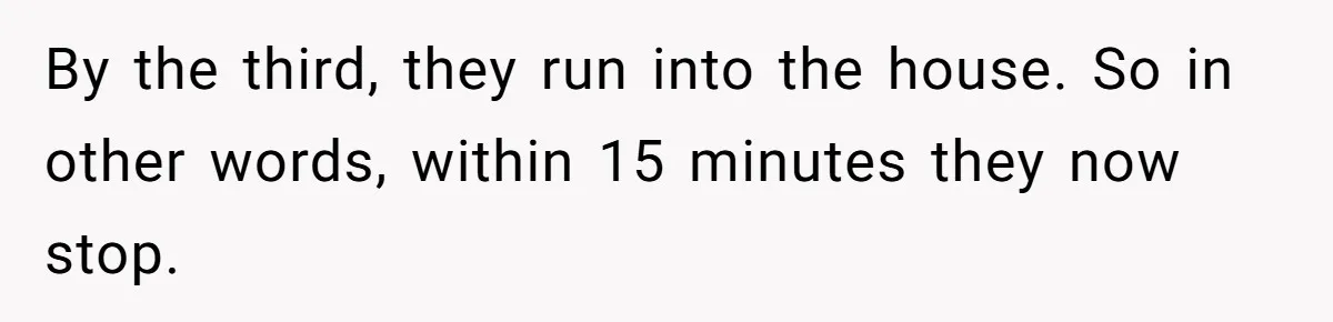 Parents Refused to Control Their Screaming Kids for Years - Until the Neighborhood Fought Back With Music By the third, they run into the house. So in other words, within 15 minutes they now stop.