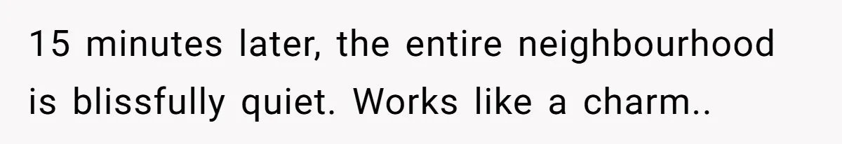 Parents Refused to Control Their Screaming Kids for Years - Until the Neighborhood Fought Back With Music 15 minutes later, the entire neighbourhood is blissfully quiet. Works like a charm..