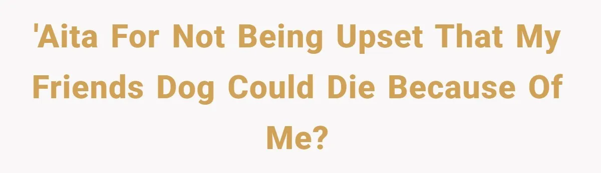 Woman Hosts Party, Friend Dumps Dog In Garden, Then Demands Answers When It Gets Sick 'AITA for not being upset that my friends dog could die because of me?