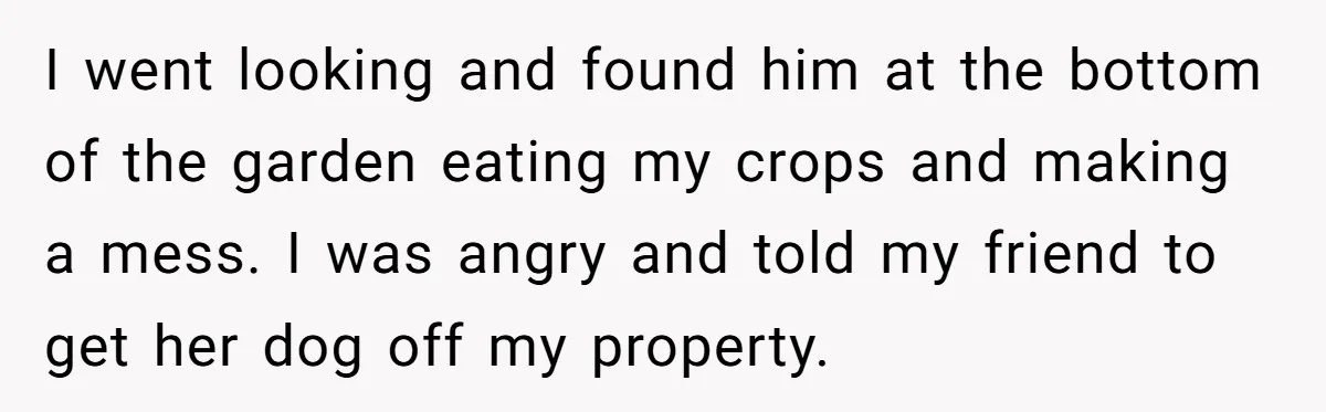 Woman Hosts Party, Friend Dumps Dog In Garden, Then Demands Answers When It Gets Sick I went looking and found him at the bottom of the garden eating my crops and making a mess. I was angry and told my friend to get her dog...