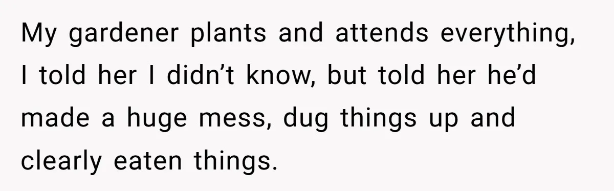 Woman Hosts Party, Friend Dumps Dog In Garden, Then Demands Answers When It Gets Sick My gardener plants and attends everything, I told her I didn’t know, but told her he’d made a huge mess, dug things up and clearly eaten things.