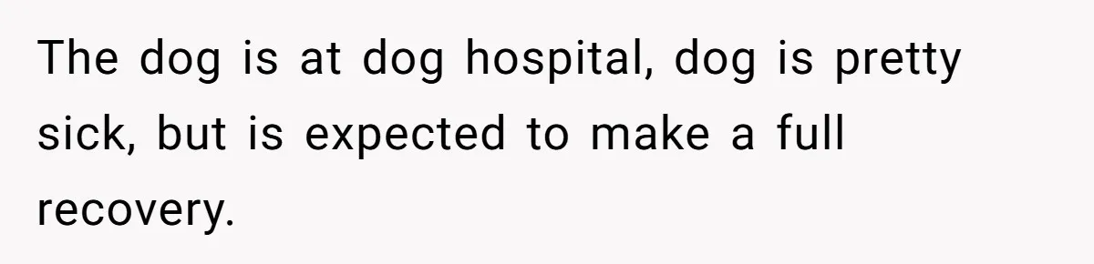 Woman Hosts Party, Friend Dumps Dog In Garden, Then Demands Answers When It Gets Sick The dog is at dog hospital, dog is pretty sick, but is expected to make a full recovery.