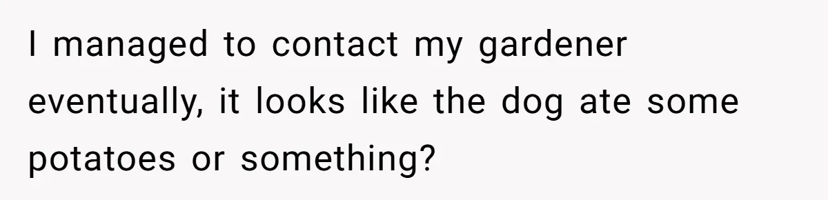 Woman Hosts Party, Friend Dumps Dog In Garden, Then Demands Answers When It Gets Sick I managed to contact my gardener eventually, it looks like the dog ate some potatoes or something?