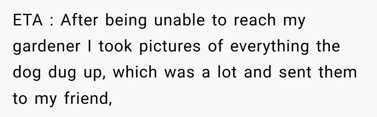 Woman Hosts Party, Friend Dumps Dog In Garden, Then Demands Answers When It Gets Sick ETA : After being unable to reach my gardener I took pictures of everything the dog dug up, which was a lot and sent them to my friend,