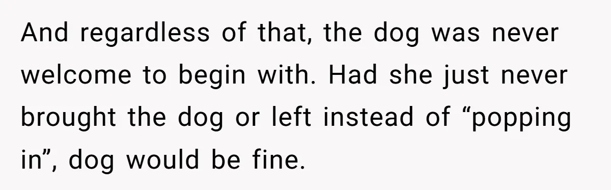 Woman Hosts Party, Friend Dumps Dog In Garden, Then Demands Answers When It Gets Sick And regardless of that, the dog was never welcome to begin with. Had she just never brought the dog or left instead of “popping in”, dog would be fine.