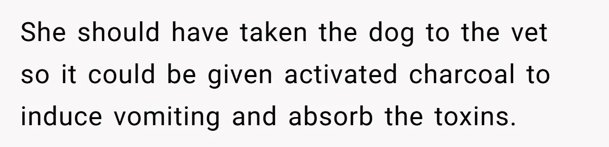 Woman Hosts Party, Friend Dumps Dog In Garden, Then Demands Answers When It Gets Sick She should have taken the dog to the vet so it could be given activated charcoal to induce vomiting and absorb the toxins.