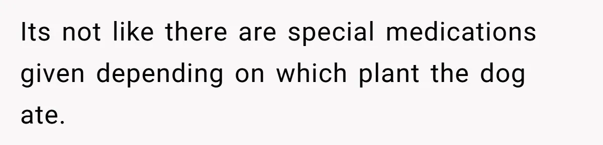 Woman Hosts Party, Friend Dumps Dog In Garden, Then Demands Answers When It Gets Sick Its not like there are special medications given depending on which plant the dog ate.