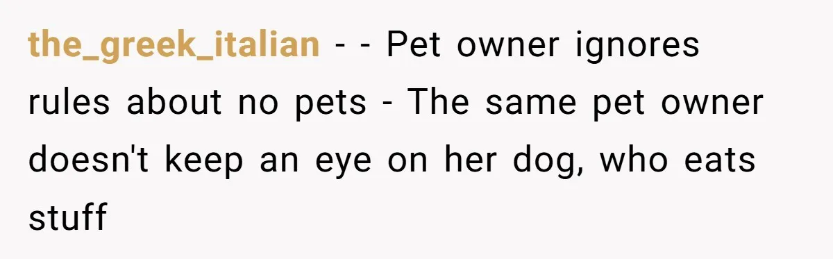 Woman Hosts Party, Friend Dumps Dog In Garden, Then Demands Answers When It Gets Sick the_greek_italian − - Pet owner ignores rules about no pets - The same pet owner doesn't keep an eye on her dog, who eats stuff